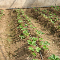 Système d'irrigation goutte à goutte à bas, tuyau de ligne de Production à bas prix