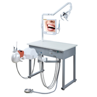 Équipement dentaire pour les dents, système de simulation d'enseignement clinique dentaire, tête de fantôme