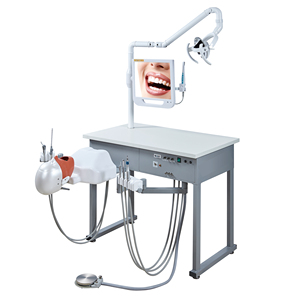 <strong>Dental</strong> Equipment <strong>Dental</strong> Clinical Teaching <strong>Simulation</strong> Training System Phantom Head - Product Image 6