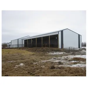 钢结构牛棚预制奶牛养殖场棚棚建筑孟加拉国