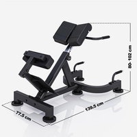 Chaise Romaine Commerciale Pliable pour Exercices de Dos et Abdominaux, Dispositif d'Extension du Dos, Chaise de Fitness à Hauteur Réglable