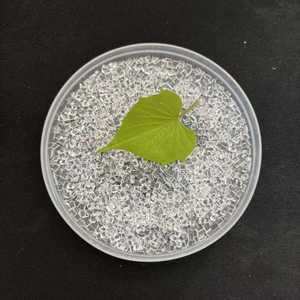 Résine plastique PMMA CM-205 CM-211 CM-207, granulés bruts, qualité alimentaire, qualité moulage - Product Image 4