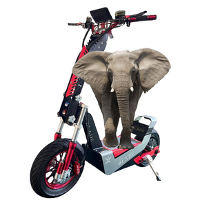 Trotinettes électriques <span class=keywords><strong>tout</strong></span>-<span class=keywords><strong>terrain</strong></span> pour adultes, 4000W, 72V, 30Ah, 50Ah, 80 km/h, roues en acier PU de 10 pouces, <span class=keywords><strong>grande</strong></span> <span class=keywords><strong>roue</strong></span>, hors route - Product Image 1