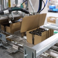 LWT Machine d'emballage monobloc entièrement automatique pour carton, monteur, emballeur de caisses, scelleuse