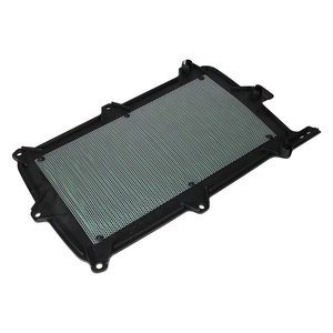 Filtro de Aire para Motocicleta para <span class=keywords><strong>Honda</strong></span> 17215-HL6-A00 17215-HL6-AA0 Talon <span class=keywords><strong>1000</strong></span> 1000R 1000X 1000XS 1000X-4 - Product Image 2