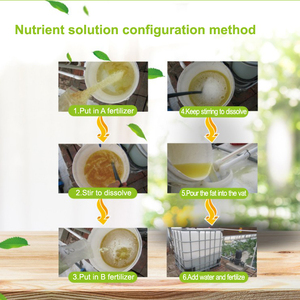 Latest Product Special Fertilizer for Soilless Cultivation Strawberry Leafy Vegetables and <strong>Fruits</strong> - Product Image 6