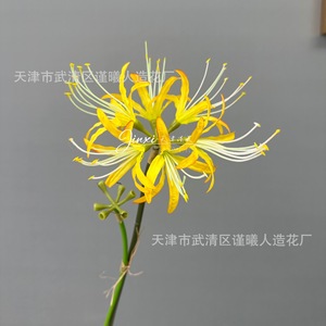 Flor de Lirio Araña Artificial Jinxi de 67 cm, Flor de Seda para Decoración del Hogar y Accesorios de Fotografía al Aire Libre - Product Image 4