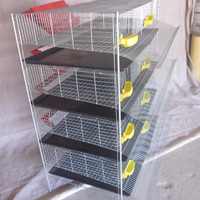 Système d'alimentation automatique à 6 niveaux, cage pour cailles pondeuses de type H pour œufs