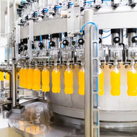 Machine d'embouteillage d'eau sodée citron complète Ligne de production de remplissage de boissons gazeuses gazéifiées
