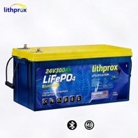 Batterie Lithium LiFePO4 24V 300AH à Décharge Profonde Grade A pour VR avec BMS Intelligent Bluetooth, Bornes M8, 6000 Cycles, CE RoHS IP67, Service OEM ODM