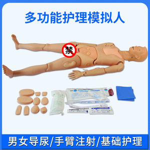 Mannequin d'entraînement infirmier multifonctionnel avancé pour la perfusion intraveineuse et le cathétérisme, vente directe du fabricant - Product Image 3