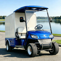 Carrito de Golf Eléctrico Utilitario OEM con Panel Solar, Techo Parasol, Ecológico, de Largo Alcance, con Caja de Carga