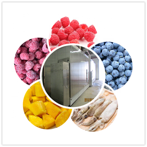 टीसीए स्वत: फल सुरंग जमने की मशीन सदमे फ्रीजर सुरंग - Product Image 3