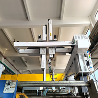 Robot d'injection automatique 3 axes à tête de taureau pour moules de seaux en plastique, avec bras robotisé de préhension et de placement rapide - Fournisseur d'usine