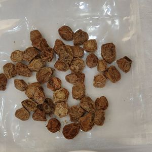 Petite taille chinoise JZ <span class=keywords><strong>Prune</strong></span> conservée Hua Mei Dégustation aigre-douce <span class=keywords><strong>Prune</strong></span> <span class=keywords><strong>salée</strong></span> conservée - Product Image 5