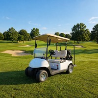 Programme de revendeur en gros Skywork OEM ODM – Chariots de golf électriques personnalisables 2, 4 ou 6 places avec batterie au lithium 72V