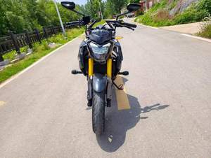 Haojue1 DR300 Moto Naked 300cc avec fourche avant dorée, moto sportive pour les trajets quotidiens, pour l'Allemagne et l'Europe - Product Image 2