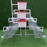 Système d'abreuvement pour élevage avicole pour cage à poules pondeuses automatique avec mangeoire et abreuvoir Batterie de poulets à vendre