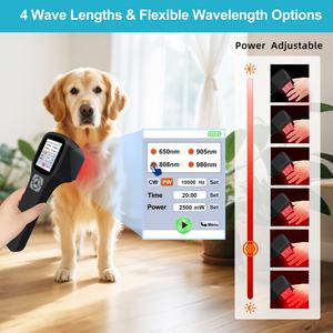 Terapi <span class=keywords><strong>Laser</strong></span> Empat Gelombang Berdaya Tinggi Medis 2500mW Kelas 4 Veteriner untuk Mengurangi Pembengkakan Leher Kuda - Product Image 3