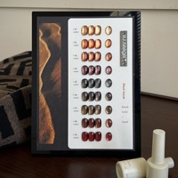Suuseegel Nouveau Kit de Vernis à Ongles Gel UV Effet Œil de Chat Clair de Lune 9 Couleurs pour Automne Hiver