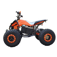 Quad électrique tout-terrain 48V 500W, nouveau buggy de plage pour adultes, moto électrique, véhicule tout-terrain fabriqué en Chine
