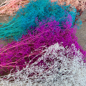 Flores Secas y Preservadas de Gypsophila de Color Brillante para Decoración del Hogar, Precio de Fábrica - Product Image 2