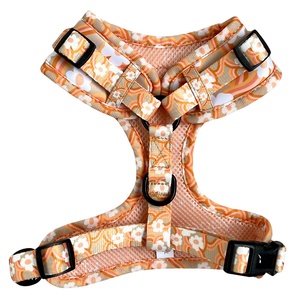 Phụ Kiện Vật Nuôi 2025 Teddy Pitbull Thiết Kế Con Chó Cổ Áo Và Dây Xích Thiết Lập Sang Trọng Tùy Chỉnh Con Chó Khai Thác Mascotas Accesorios Por Thị Trưởng - Product Image 3