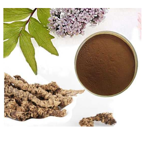 Valeriana Wallichii Botanical Extract <b>Spray</b> Dried Dry Extract Powder Manufacturer Supplier With Premium <b>Root</b> Ingredients - Product Image 1