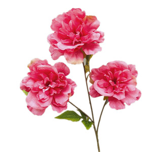 Flores Artificiales de Seda Color Rosa Rojo, Rosas, Hortensias, Orquídeas Phalaenopsis, Lirios, Venta al por Mayor en China - Product Image 6