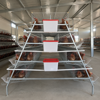 Meilleure Vente Nouvelles Cages à Poules Pondeuses pour l'Afrique du Sud QM