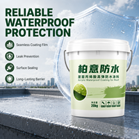 Revêtement de toiture acrylique imperméable pour application extérieure exposée aux intempéries, peinture imperméable flexible résistante aux intempéries