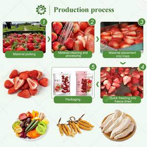 Máquina secadora de frutas y verduras secas industriales de secado al vacío comercial para dulces y alimentos - Product Image 5