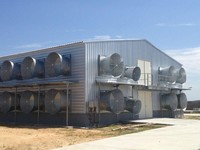 Structure en acier préfabriquée de sécurité pour élevage de volailles avec services de soudage et de découpe