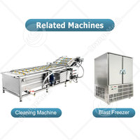 ORME Industriële Grote Capaciteit Fruitvriesdroger Productielijn 500kg 1500kg 2000kg Voedsel Lyofilisator Prijs