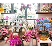 Realistische Künstliche Orchideen-Blumen Set mit Topf - Weißes PVC/PE-Material Anpassbar für Weihnachts- und Chinesische Neujahrsdekorationen
