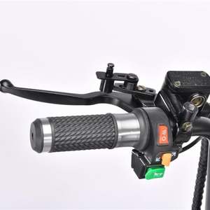 Trottinette électrique Harleye Citycoco, 60V, 30ah, moteur sans balais, 2000W, batterie au Lithium - Product Image 4