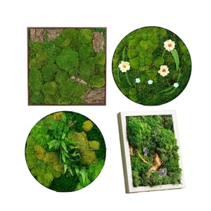 보존 된 꽃 공급 업체 이끼 장식 보존 된 이끼 벽 예술 나무 사진 프레임 이끼 벽 장식 프레임 - Product Image 3