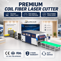 Machine de découpe laser à fibre CE à alimentation par bobine pour découpe et ébavurage, avec déroulage automatique, nivellement, découpe et déchargement pour production continue