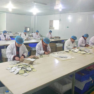 OEM 공장 해병 패치가있는 뜨거운 판매 중국 멀미 방지 패치 - Product Image 5