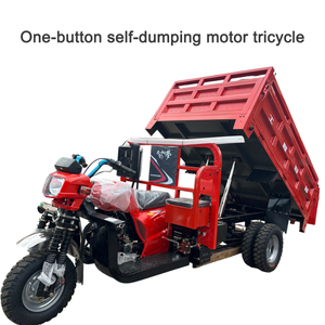 350cc <b>Gasoline</b> Tricycle 5 Wheel Hydraulic Dump Motor Heavy-Duty Bed 18L Large for Africa Construction - Product Image 1