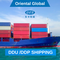 Tarifs compétitifs Logistique DDP Porte-à-Porte Transitaire LCL+Express Agent Maritime de Chine vers AE 20-35 Jours