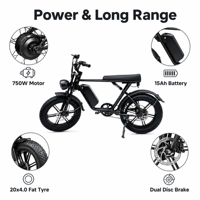 Vélo électrique à pneus larges de 20 pouces, 48V 750W, batterie au lithium 15Ah, frein à disque double, vélo électrique pour les trajets en ville
