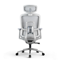 Chaise de bureau exécutive moderne et contemporaine en maille, avec support lombaire, robuste, appuie-tête réglable 4D, pivotante, ergonomique, base chromée