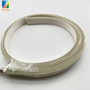 Bande Led étanche IP68, 12/24V, rouge, bleu, ruban lumineux 5050, 2835, 120Led/m, <span class=keywords><strong>Tube</strong></span> en Silicone, décoration de la maison, néon - Product Image 6