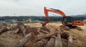 Broyeur de bois monté sur excavatrice, accessoire déchiqueteur de palmiers à vendre - Product Image 2