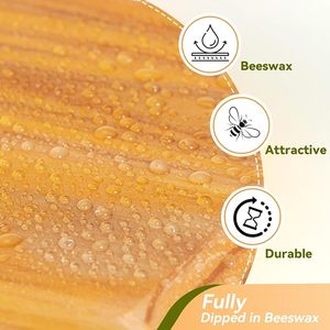 10 Frame Langstroth Beehive 2 Layers Complete <strong>Bee</strong> Hive Kit, 1 Deep Brood Box &amp; 1 Medium Super Box with Frames and Foundations - Product Image 3