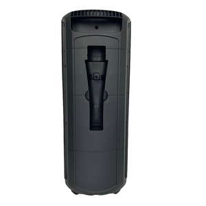 Haut-parleur d'extérieur étanche IPX2 double 8 pouces avec micro, 10W, batterie intégrée, voix claire pour l'exercice matinal et le karaoké – Offre Spéciale - Product Image 4