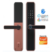 Serratura Digitale Intelligente con Impronta Digitale e Controllo Telefonico, Nero e Oro Rosa per Cancelli e Porte