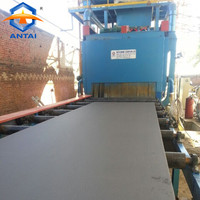 Machine de sablage à convoyeur à rouleaux Q69 pour le nettoyage de surface et l'élimination de la rouille des plaques d'acier et poutres en H, haute productivité