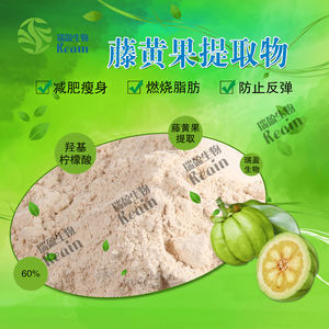 Garcinia Cambogia PE pérdida de peso a base de hierbas naturales verdes HCA 60% polvo de extracto de Garcinia Cambogia - Product Image 2